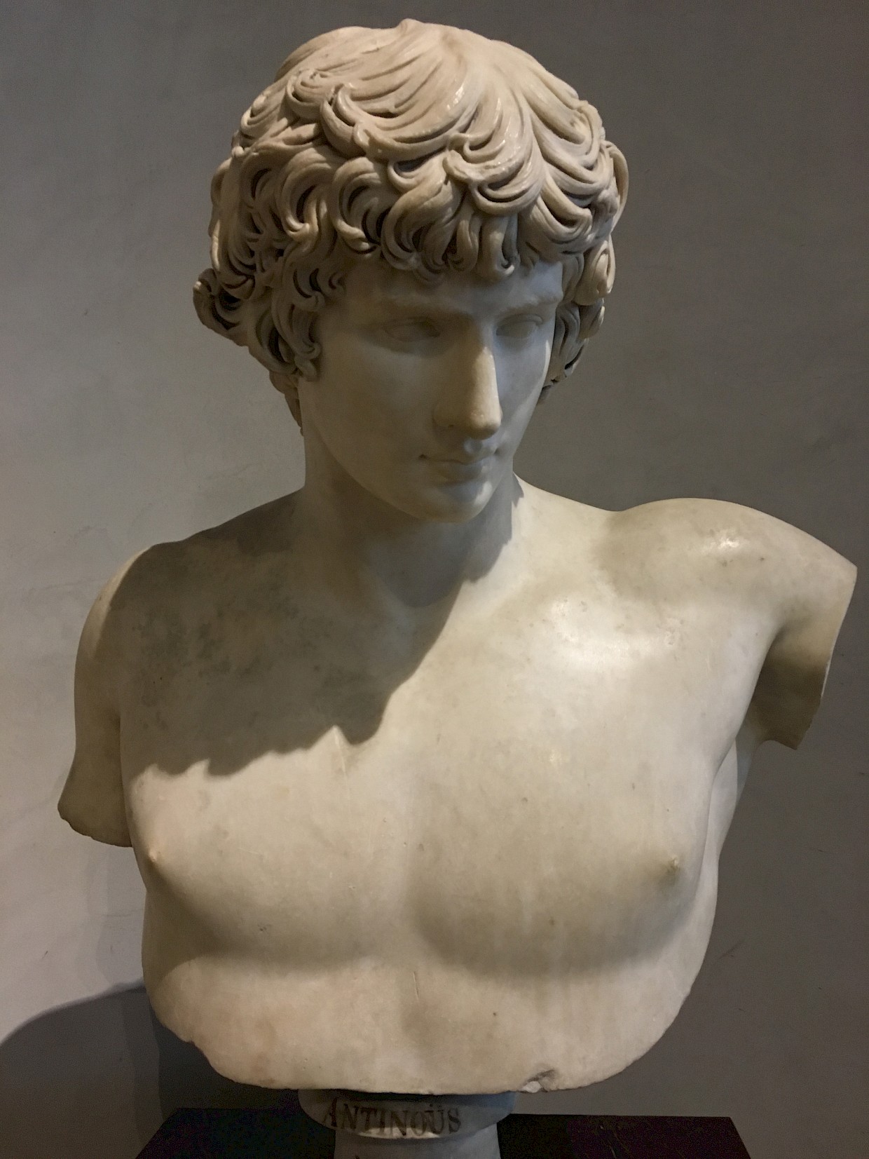 marble bust statue of Antinous that can be used for Plato Ideal Forms analysis