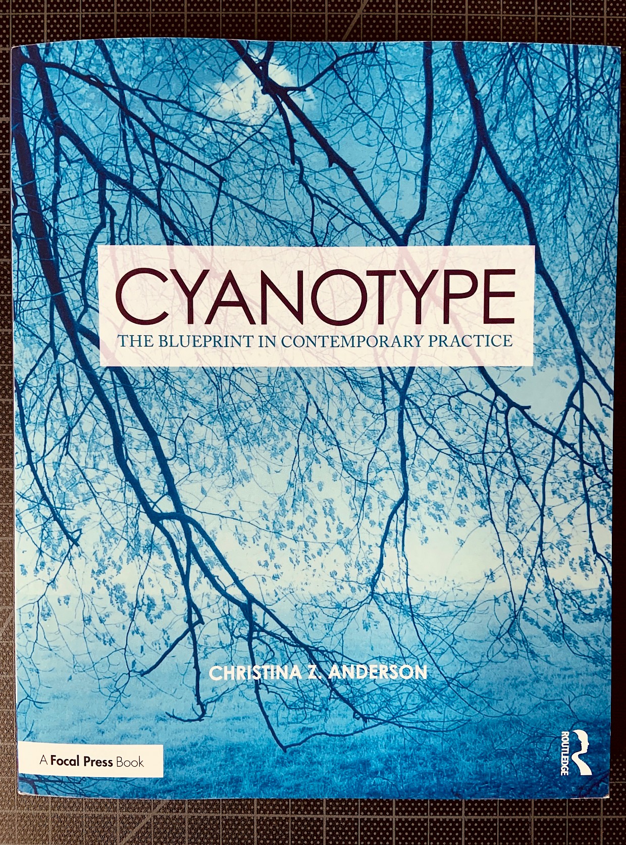 Cyanotype, The Blueprint in Contemporary Practice